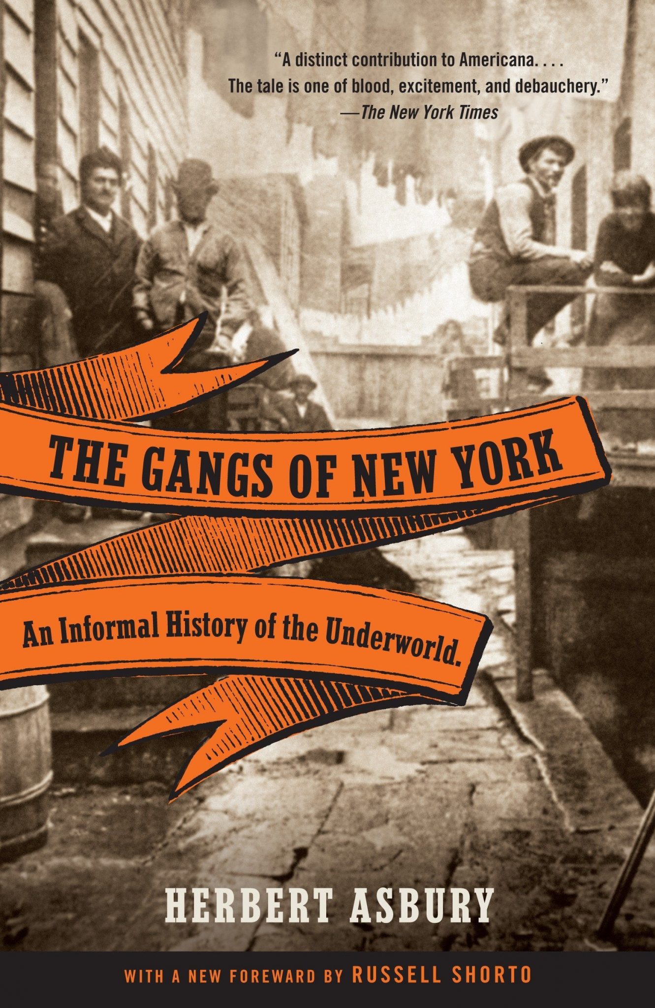 gangs of new york essay